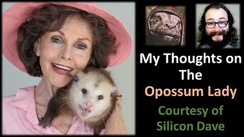 My Thoughts on The Opossum Lady (Courtesy of Silicon Dave)