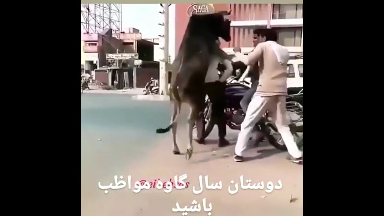 Must watch very funny video
