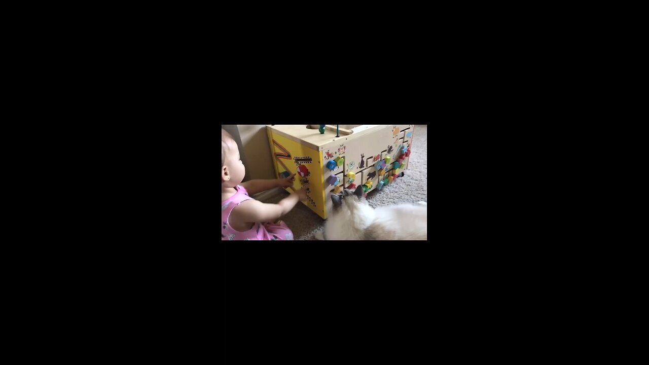 Baby teaches cat busy cube