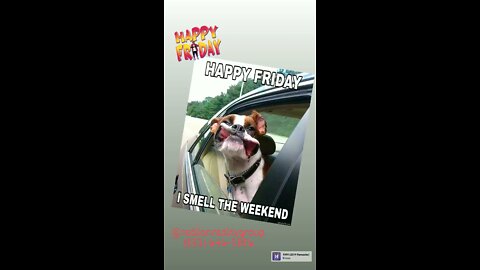 Happy Friday