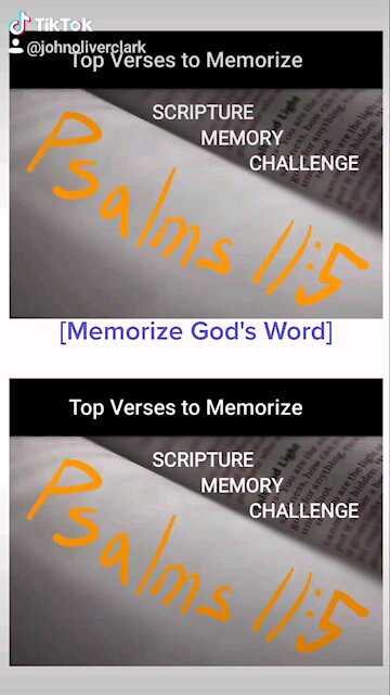 Top Verses To Memorize, Psalms 11:5