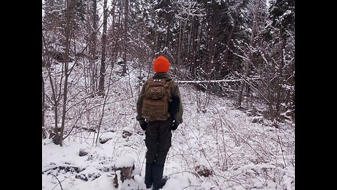What to do if you are lost in the Woods.