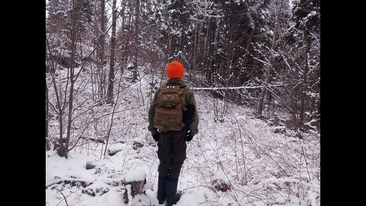 What to do if you are lost in the Woods.