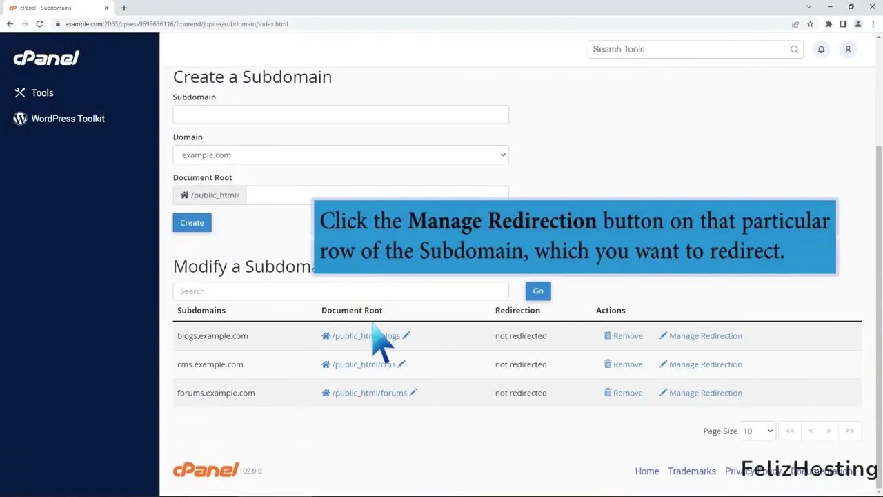 How to Redirect subdomain to an external URL with FelizHosting