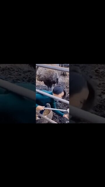 What A Tricky Way!#dailyhackness #Shorts #ytshorts #challenges #doityourself #useful