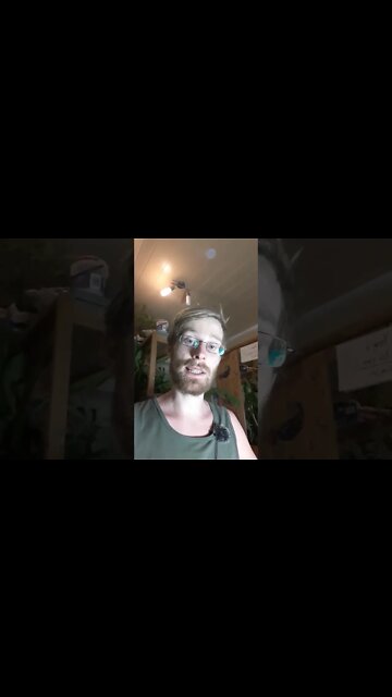 An alle Klimaktivisten und @Die Militante Veganerin