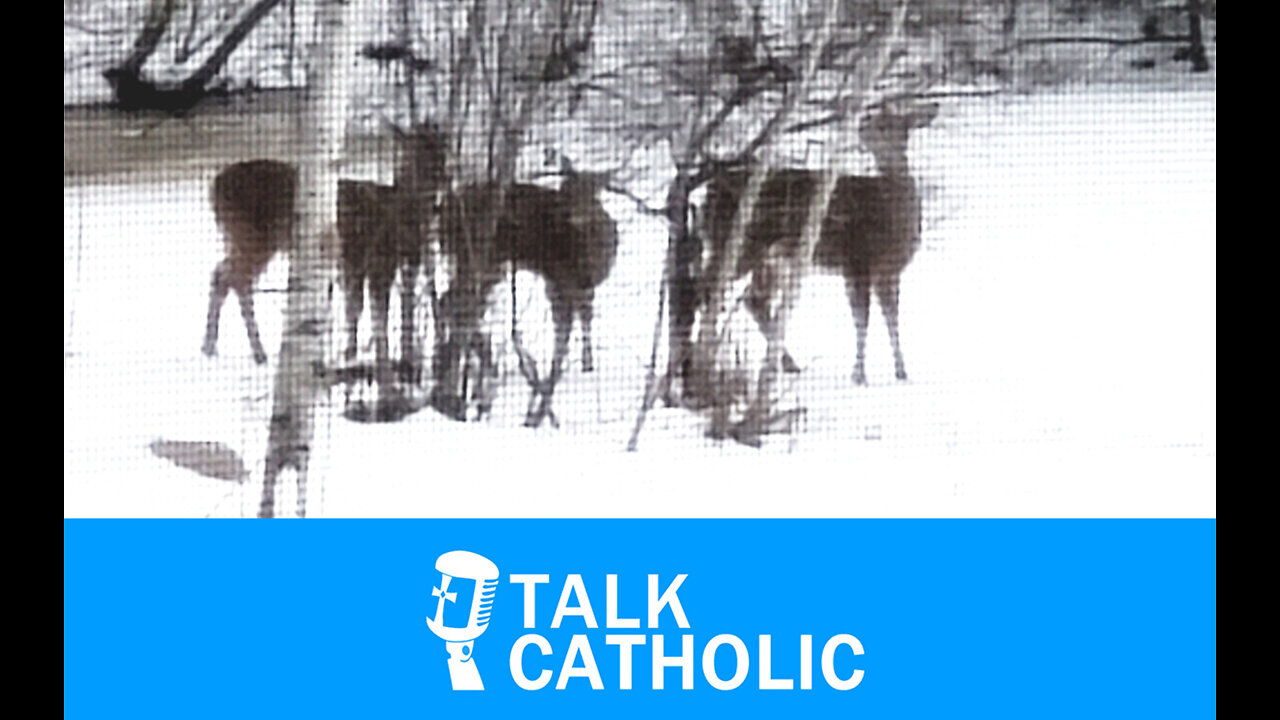 New Years Resolutions On Essential Truths -- Talk Catholic with Tim Kilcoyne