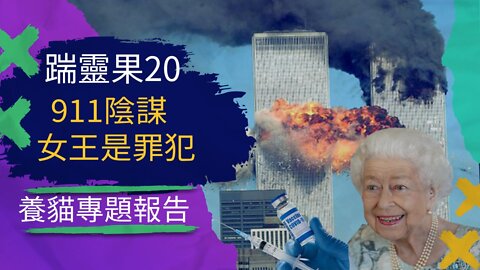 踹靈果20 | 911是陰謀嗎（是）？疫苗異物清晰照片曝光，血栓根源就是它！英國女王很邪惡，她死了是人類福音！