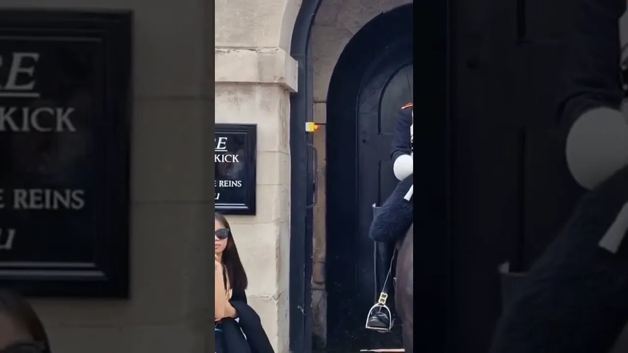 No respect #horseguardsparade