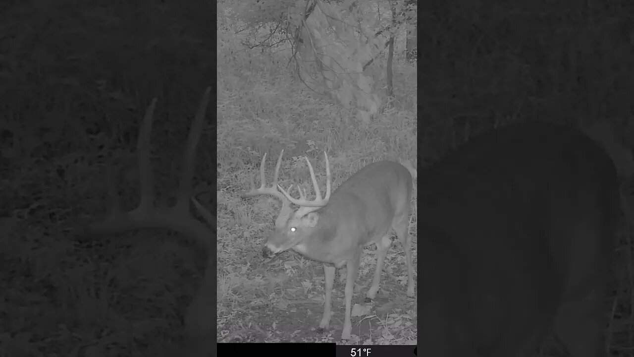 Starting to feel like Fall! #deerhunting #deer #hunting #huntingseason