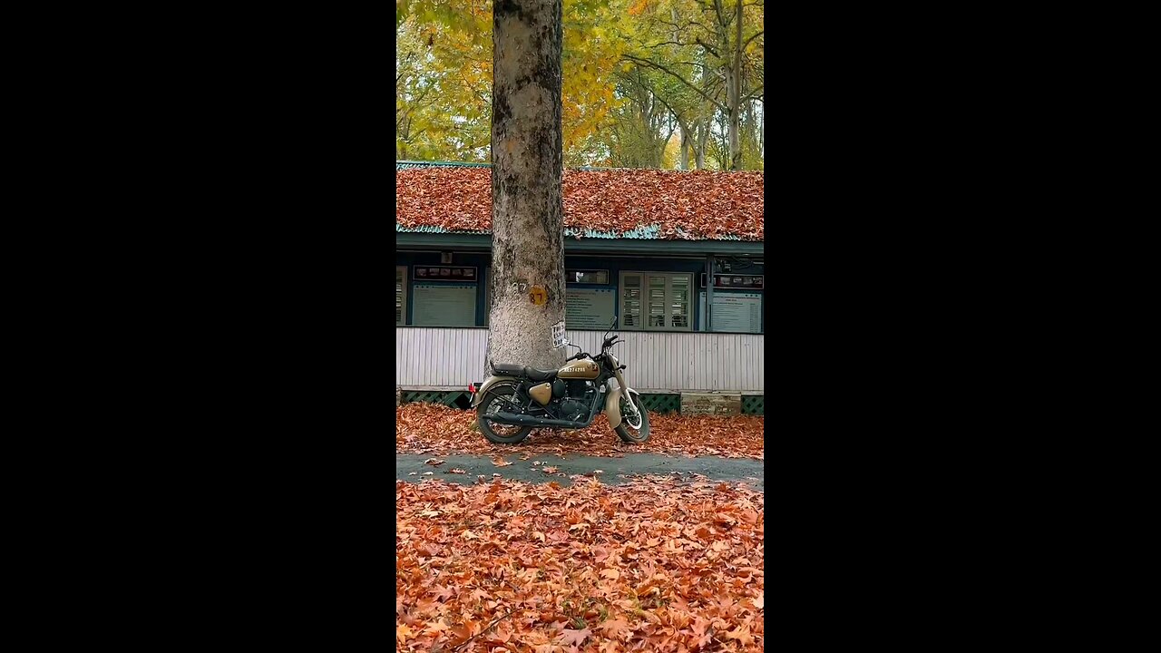 November 4, 2023