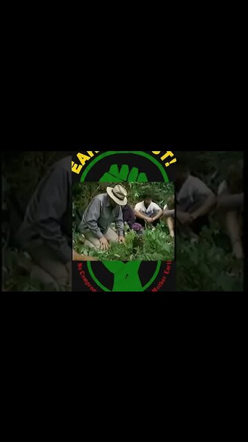 Environmentalists mourn the loss of trees. An oldy, but a goody