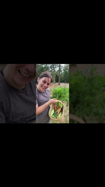 She makes it look easy!#harvest #garden #carrots