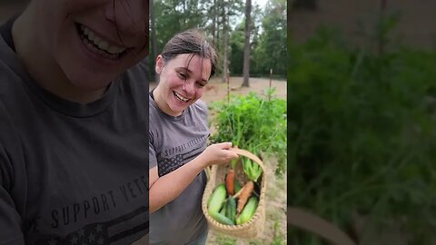 She makes it look easy!#harvest #garden #carrots