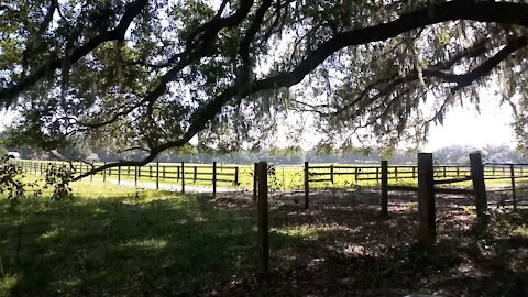 FLA - Old Florida Back Road 1