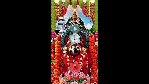 Jagannath Bhajan Odia || Odia Jagannath Bhajan || God 🌺🙏