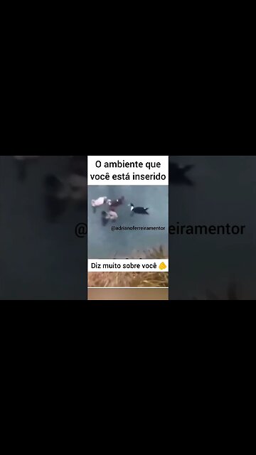 Qual o impacto do ambiente na sua vida?