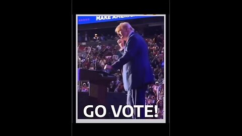 GO VOTE