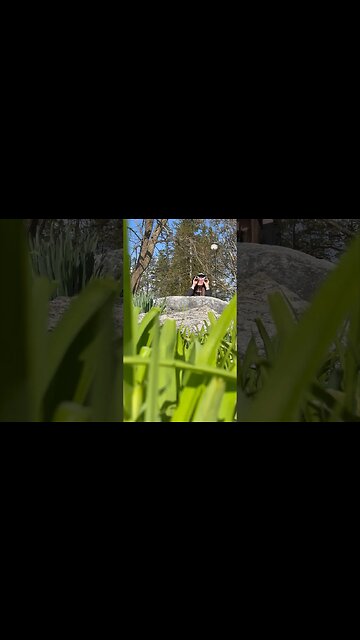 What’s F.I.N.C.H? Feast, Image, Novena, Chaplet, Hour. The five elements of #divinemercy devotion.