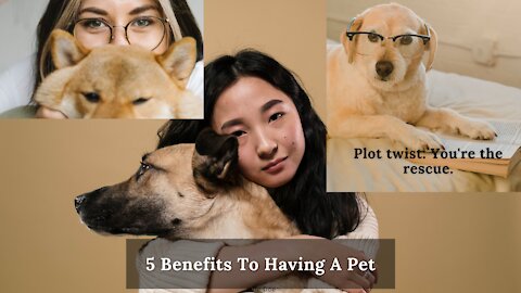 5 Best Health Benefits Of Having A Pet