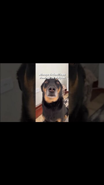 ATÉ QUANDO? #shorts