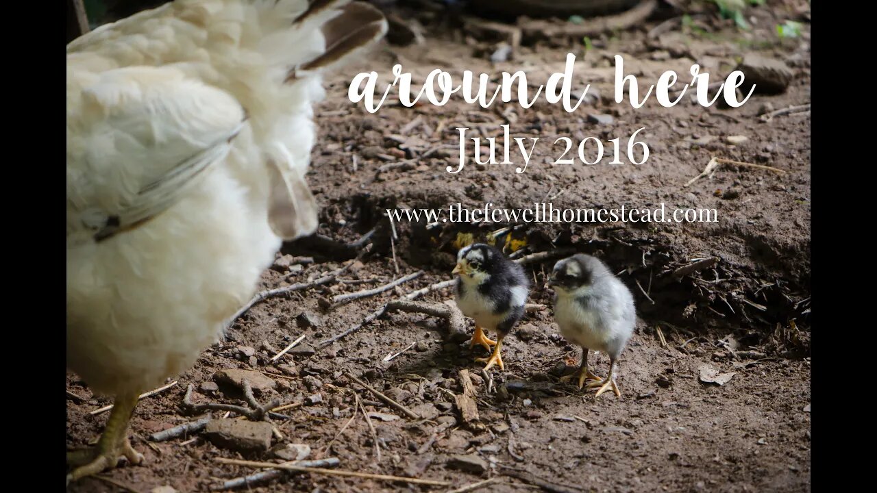 Around Here | July 2016