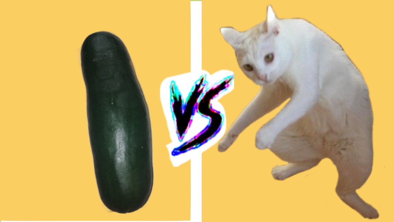 See cat getting scared when he sees cucumber