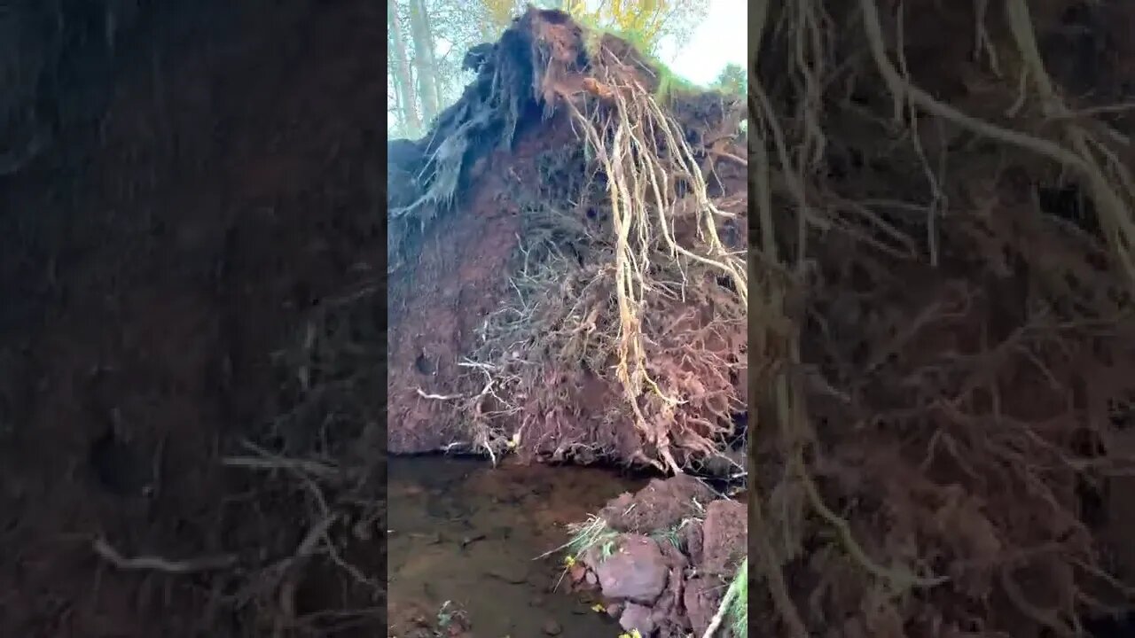 Strathgartney Trails after Hurricane Fiona 2022