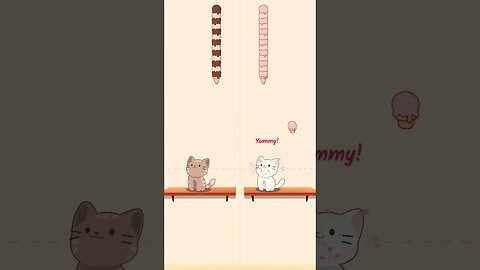 Cat dute fun 😻#shorts