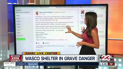 Wasco Animal Shelter full and in danger