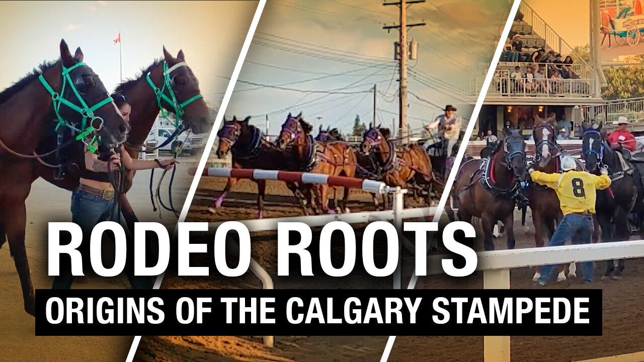 The Calgary Stampede’s rodeo roots