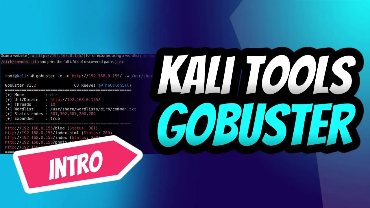 GoBuster for Ultimate Kali Linux Reconnaissance