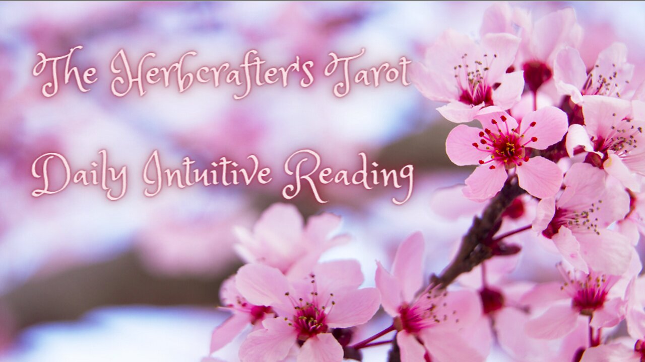 The Herbcrafter's Tarot ~ Daily Intuitive Reading ~ Self Interpretation