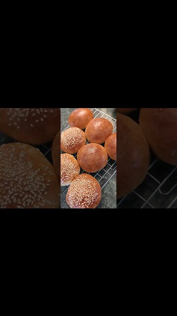 Best Hamburger Buns I Have Ever Made. Period!