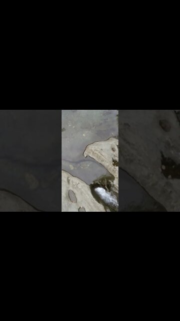 😮😯 What was that?