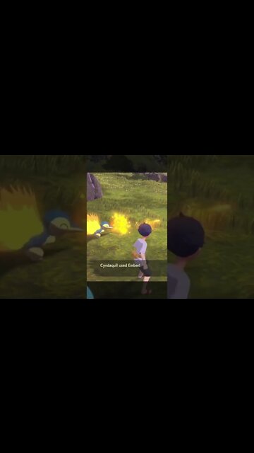 Cyndaquil Used Ember! Pokémon Legends: Arceus