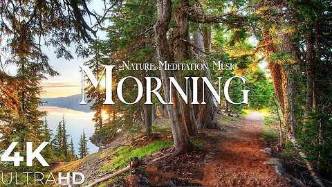 Morning Nature,Relaxation Film,Peaceful Relaxing Music - 4k Video UltraHD