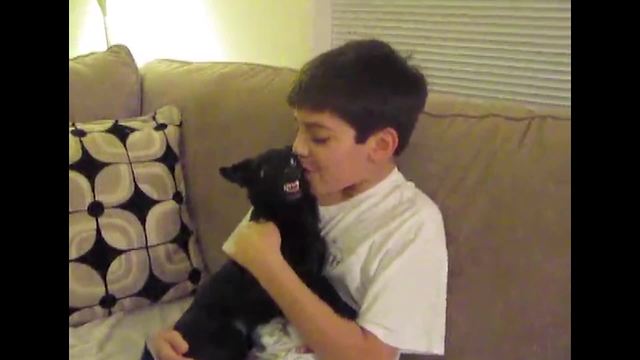 "Small Puppy Growls At Kid"