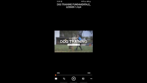 Best easy basic dog training 101 for your awesome dog