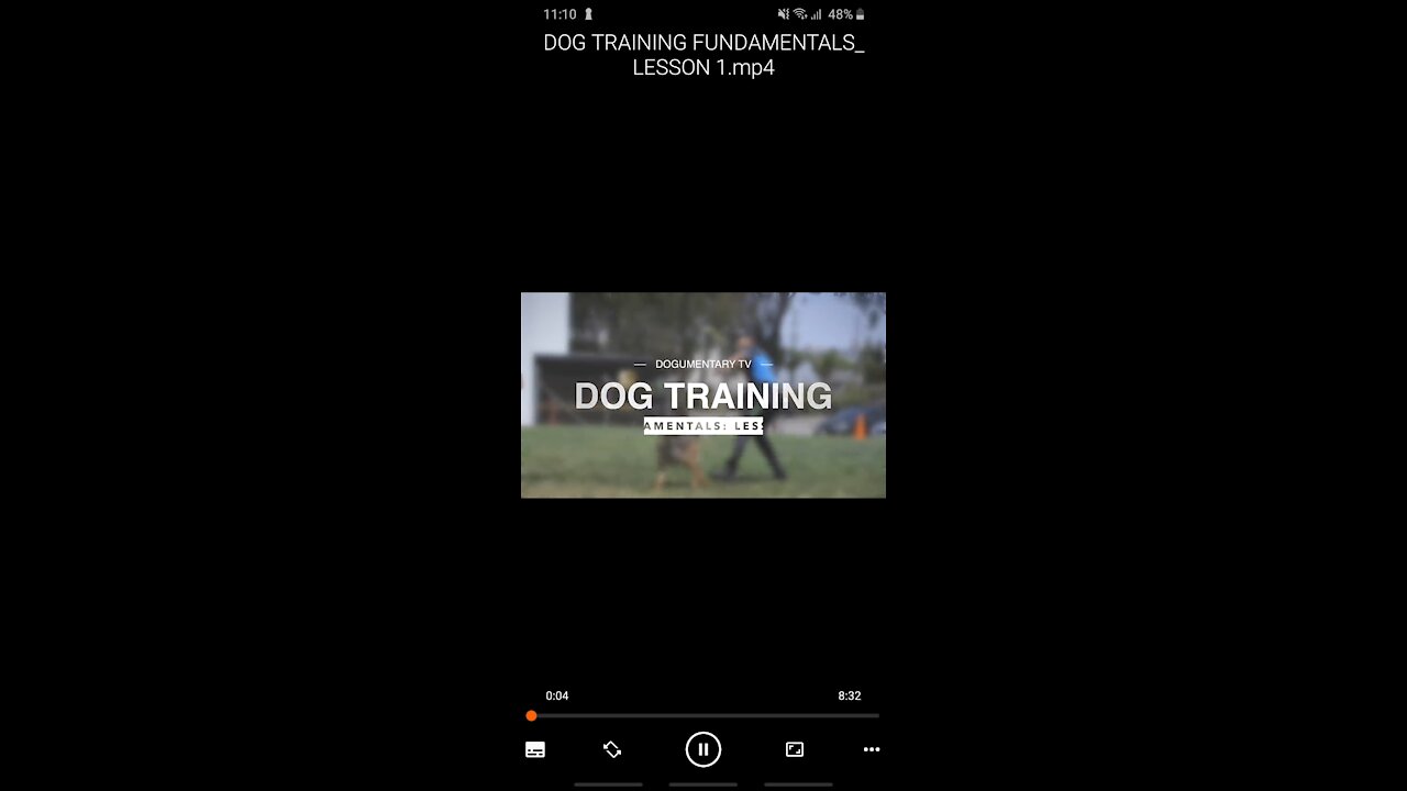 Best easy basic dog training 101 for your awesome dog