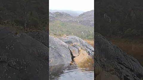 Sights and sounds of Patagonia (video 4) #sailing #sailingadventure