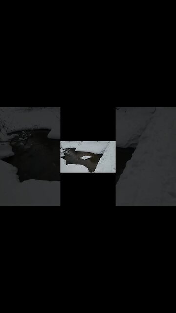 #omg #trailer #releasedate #bitchute #ytshortsvideo #epic #snowshoeing