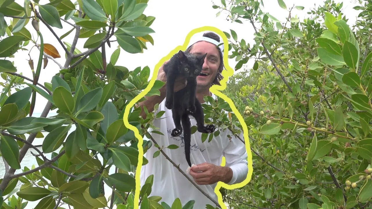 Finding Cute Abandoned Kitten on Deserted Island While Fishing {Catch and Cook}