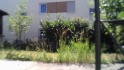Silent Long LIVE HD 1080p for wh update in the garden #ghitatravel @GeorgeLTV #hd