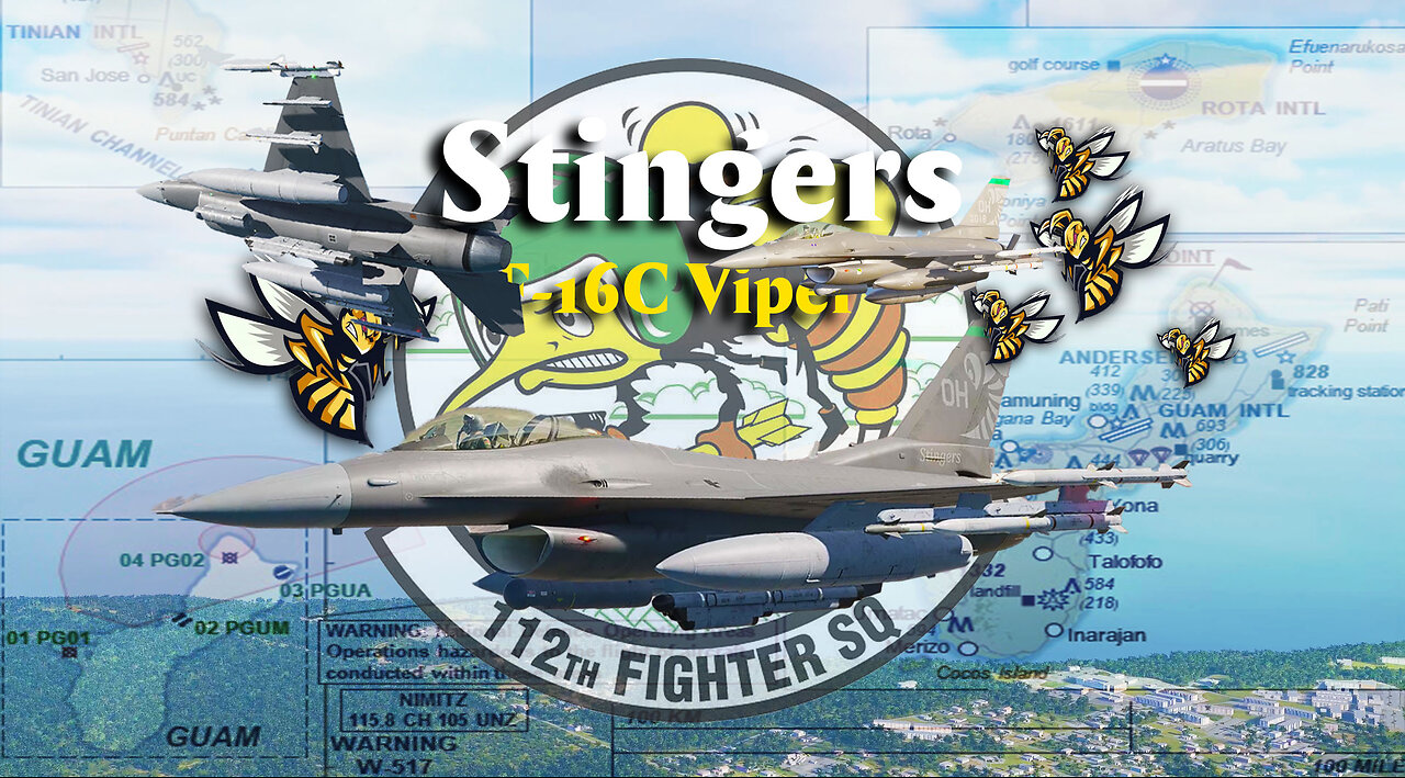 Stingers (F-16C Viper)