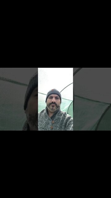 My wife and I will be doing a livestream soon on homeschooling support for parents of Latino descent