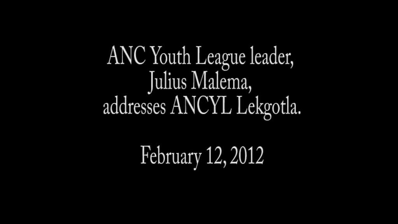 Malema Lekgotla Feb 12.avi (ZZLj)