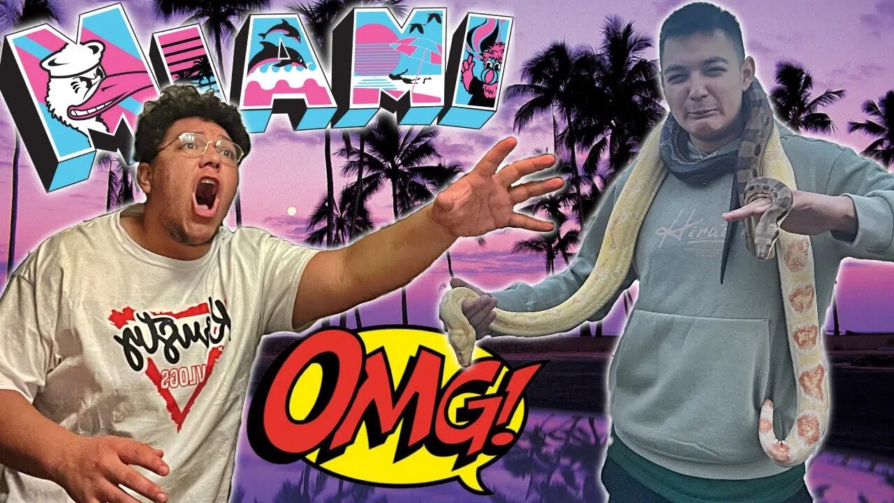 SNAKES STRANGLED MY FRIEND IN MIAMI!