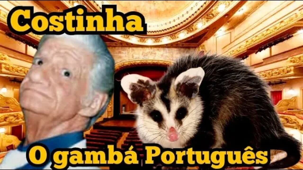 Costinha: o gambá Português