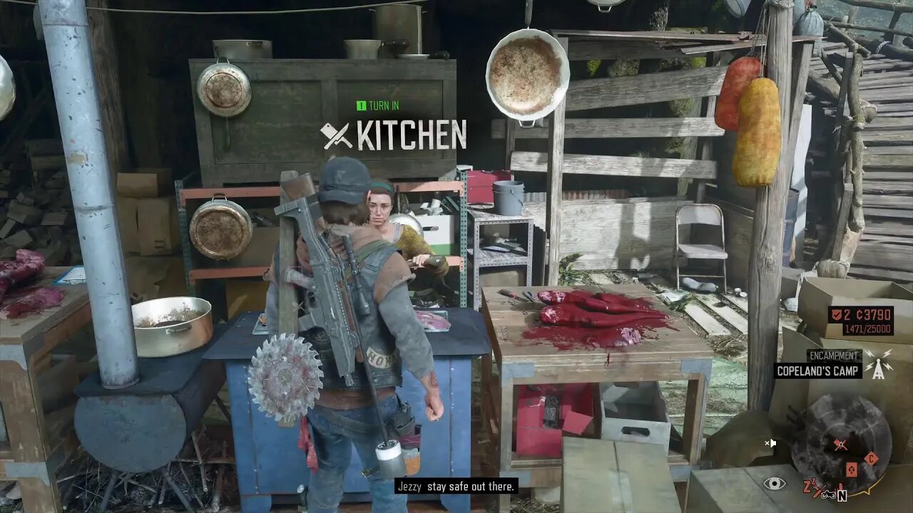 Days Gone